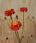 Zijde Dahlia 65 cm