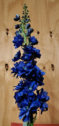 Donkerblauwe Zijde Delphinium